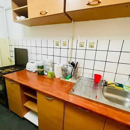 Central Apartment Near The Old Town Gl19 Timisoara