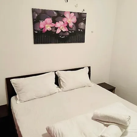 Central Apartment Near The Old Town Gl19 Apartment Timisoara